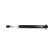Shock absorber SSA-11101 Kavo parts, Thumbnail 4
