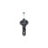 Shock absorber SSA-11164 Kavo parts