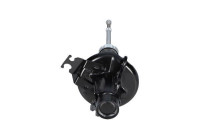 Shock absorber SSA-11198 Kavo parts