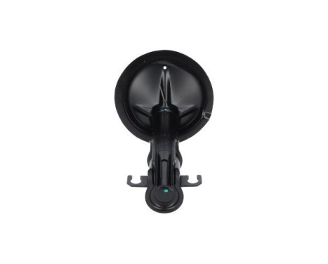 Shock absorber SSA-11213 Kavo parts
