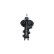 Shock absorber SSA-11346 Kavo parts