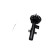Shock absorber SSA-11378 Kavo parts, Thumbnail 2