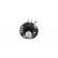 Shock Absorber SSA-2007 Kavo parts, Thumbnail 3