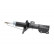 Shock Absorber SSA-3005 Kavo parts, Thumbnail 4