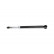 Shock Absorber SSA-3010 Kavo parts, Thumbnail 4