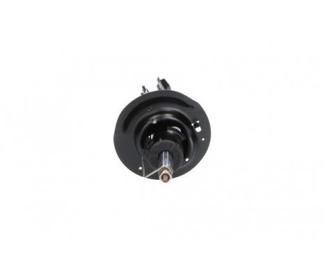 Shock Absorber SSA-3036 Kavo parts, Image 3