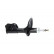 Shock Absorber SSA-5536 Kavo parts, Thumbnail 2