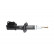 Shock Absorber SSA-6537 Kavo parts, Thumbnail 2