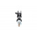 Shock Absorber SSA-8526 Kavo parts, Thumbnail 3
