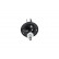 Shock Absorber SSA-9021 Kavo parts, Thumbnail 3