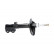 Shock Absorber SSA-9055 Kavo parts, Thumbnail 2