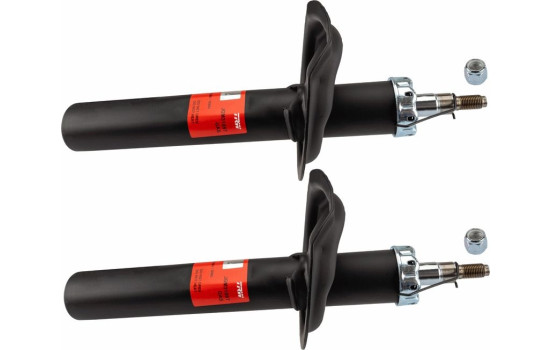 Shock Absorber TRW TWIN JGM3189T
