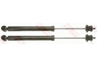 Shock Absorber TRW TWIN JGT1000T