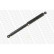 Shock Absorber VAN-MAGNUM V1018 Monroe, Thumbnail 3