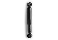 Shock Absorber VAN-MAGNUM V1055 Monroe