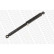 Shock Absorber VAN-MAGNUM V1103 Monroe, Thumbnail 2