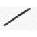 Shock Absorber VAN-MAGNUM V1103 Monroe, Thumbnail 2