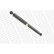 Shock Absorber VAN-MAGNUM V1145 Monroe, Thumbnail 4