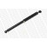 Shock Absorber VAN-MAGNUM V1147 Monroe, Thumbnail 3
