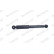 Shock Absorber VAN-MAGNUM V1170 Monroe, Thumbnail 5