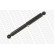 Shock Absorber VAN-MAGNUM V2073 Monroe, Thumbnail 3