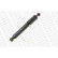 Shock Absorber VAN-MAGNUM V2079 Monroe, Thumbnail 3