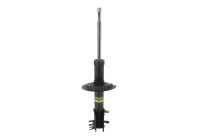 Shock Absorber VAN-MAGNUM V4203 Monroe