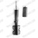 Shock Absorber VAN-MAGNUM V4408 Monroe, Thumbnail 2