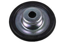 Spring plate
