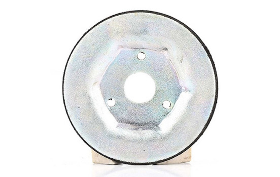 spring plate