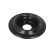 Spring plate