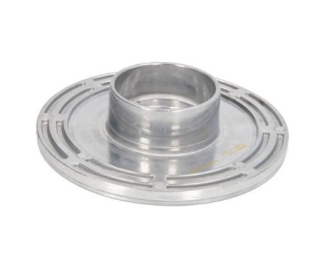 Spring plate