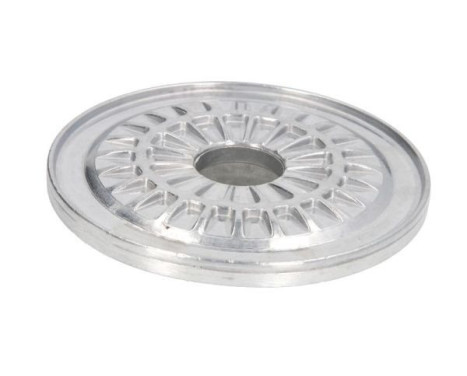Spring plate, Image 2