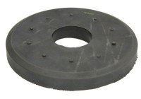 Spring plate