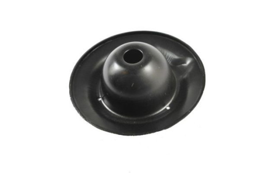 Spring plate