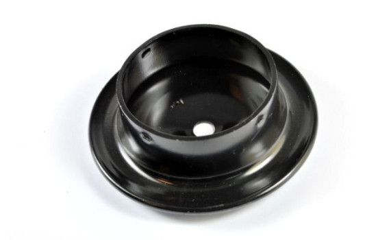 Spring plate