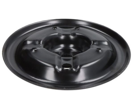 Spring plate