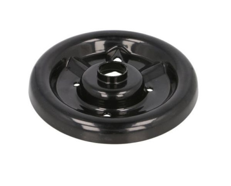 Spring plate