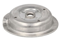 Spring plate