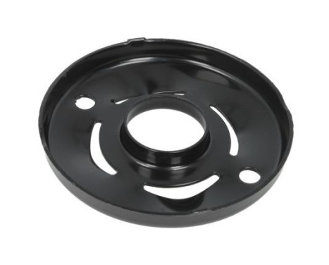Spring plate, Image 2