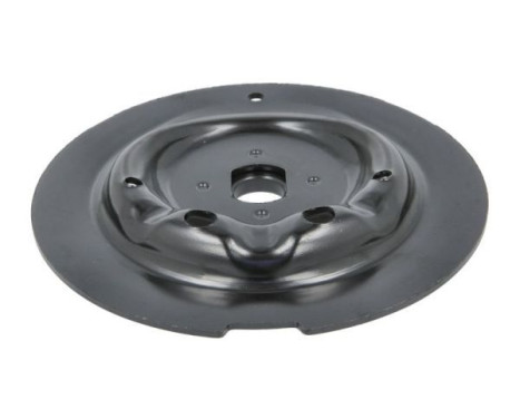 Spring plate