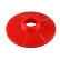 Spring plate