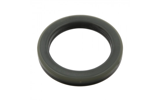 Anti-Friction Stabiliser, suspension strut support Mount 01873 FEBI