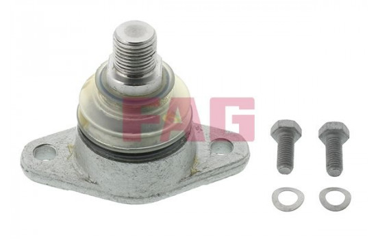 Mount, shock absorbers