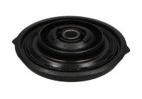 Repair Kit, suspension strut