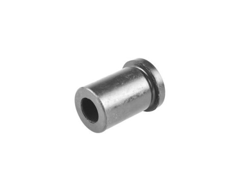 Suspension, leaf spring
