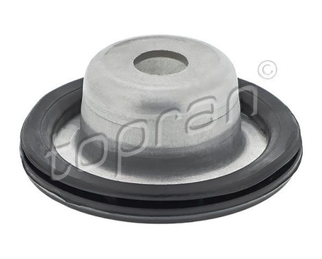 Top Strut Mount