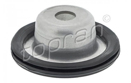 Top Strut Mount