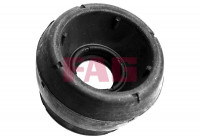 Top Strut Mount