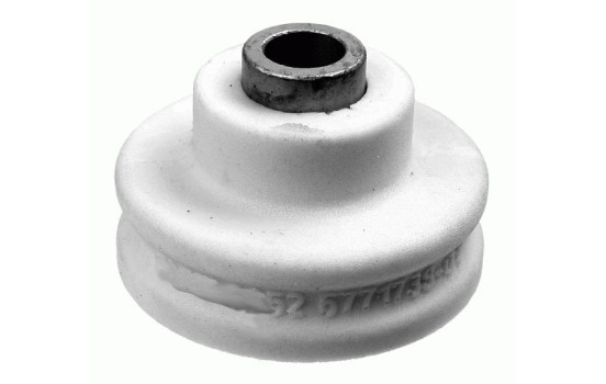 Top Strut Mount